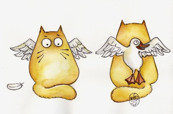 Кот иллюстрация