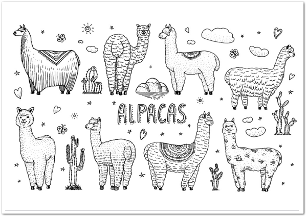 Раскраски альпаки
