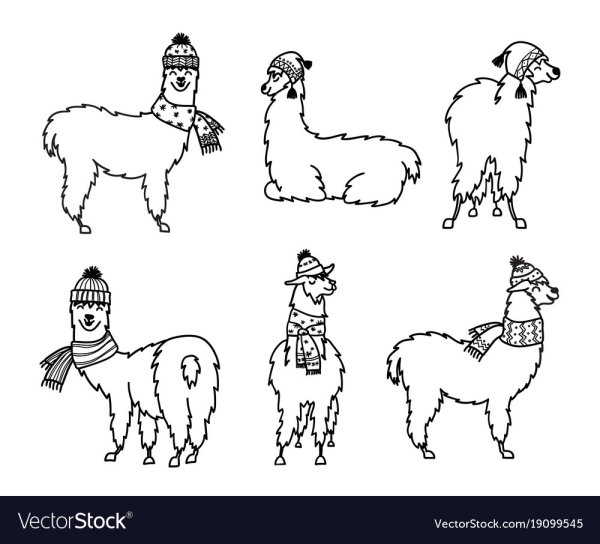 Лама сзади рисунок