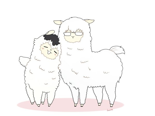 Милые ламы и альпаки раскраска