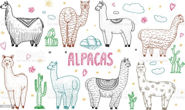 Милые ламы и альпаки раскраска
