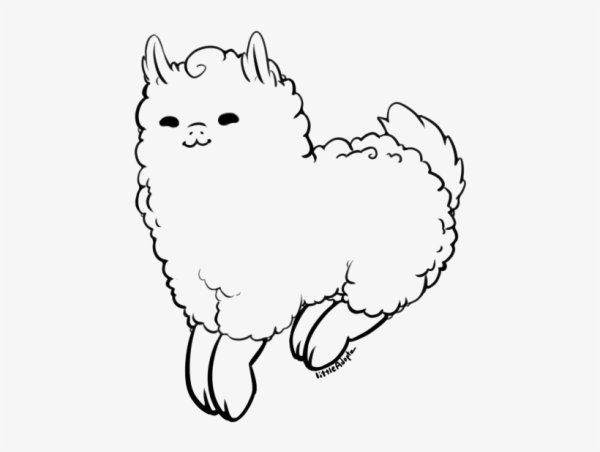 Альпаки черно белые