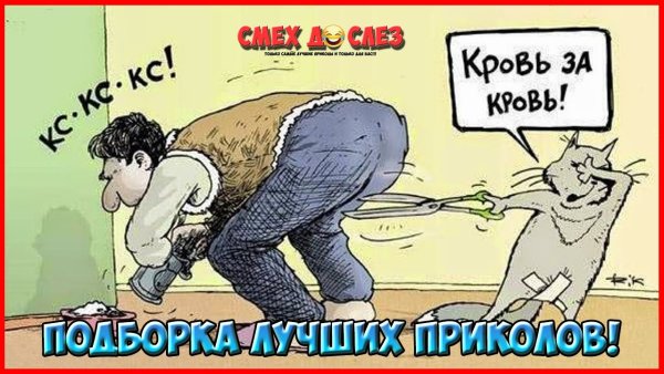 Смешные рисунки до слез