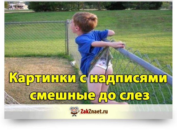 Мемы смешные до слез