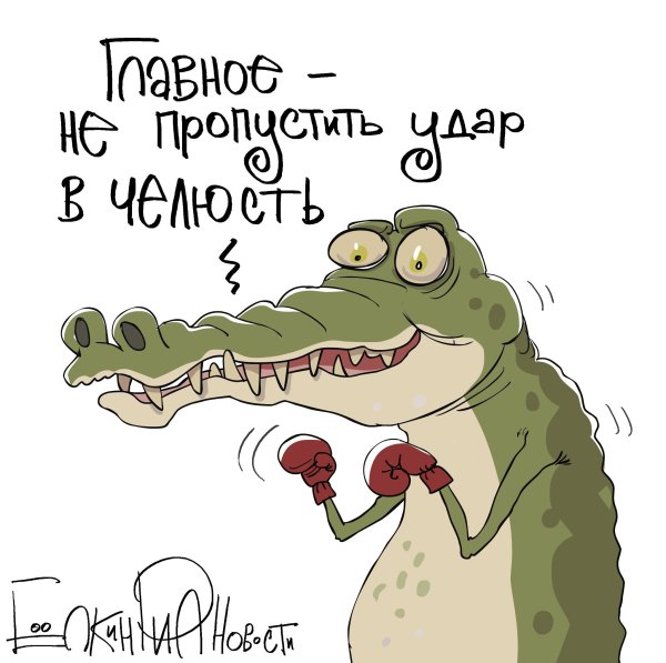 Шутки про крокодила