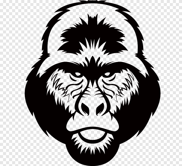 Горилла без заднего фона