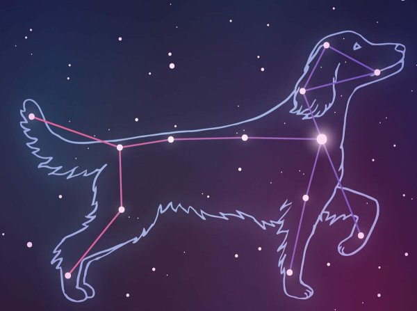 Созвездие пса Сириус