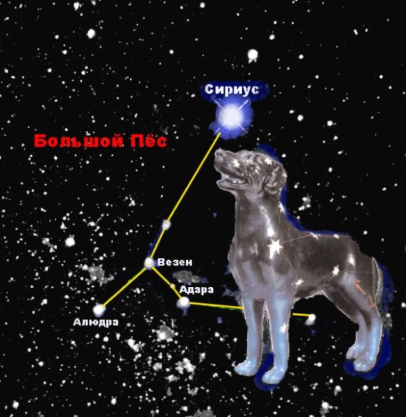Сириус Альфа большого пса