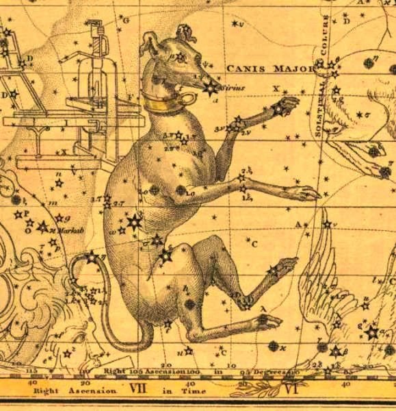 Canis Major Созвездие