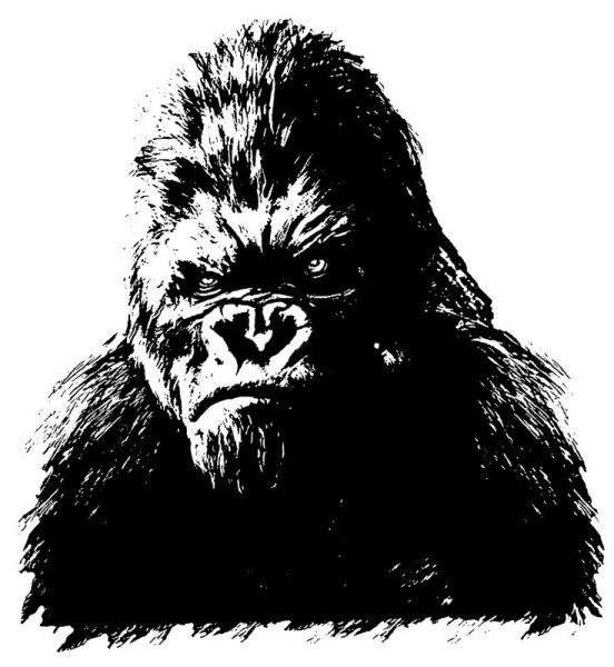 Горилла раскраска для детей