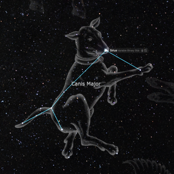Сириус Альфа большого пса
