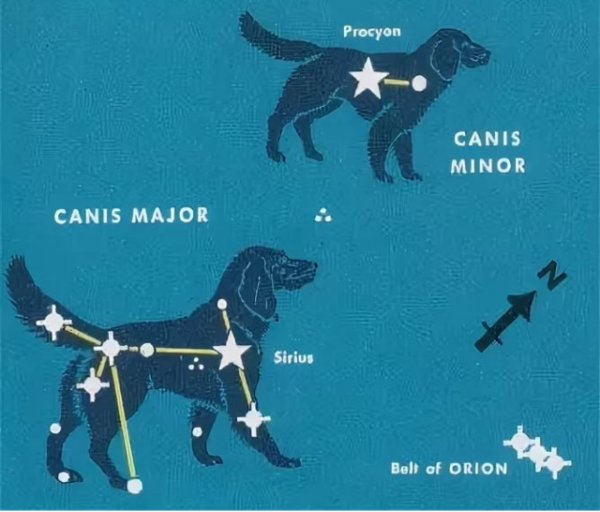 Canis Minor Созвездие