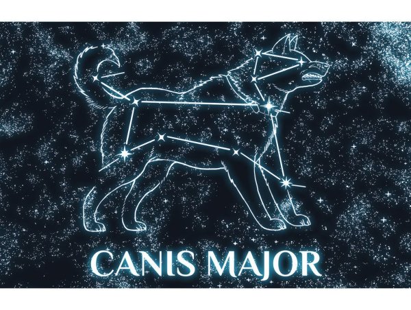 Созвездие большого пса Сириус