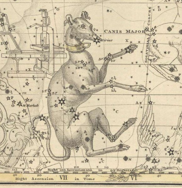 Созвездие большого пса