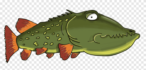 Щука для детей