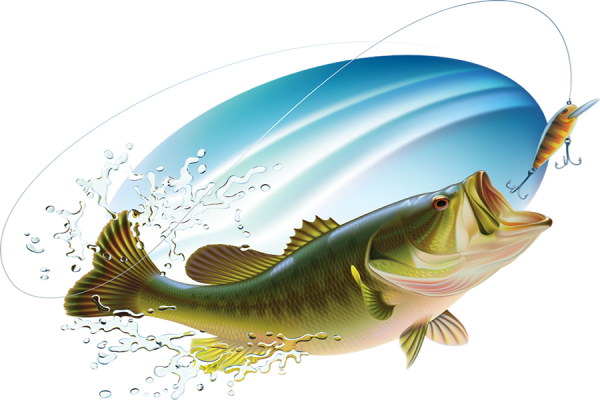 Рыбалка клипарт