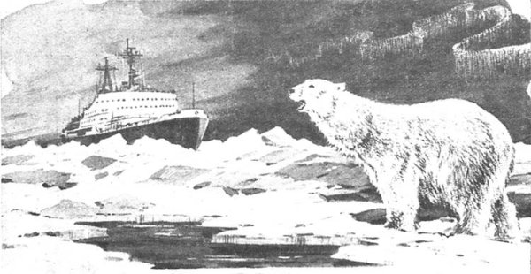 Арктика иллюстрация