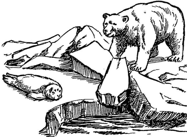 Раскраска охота на белого медведя