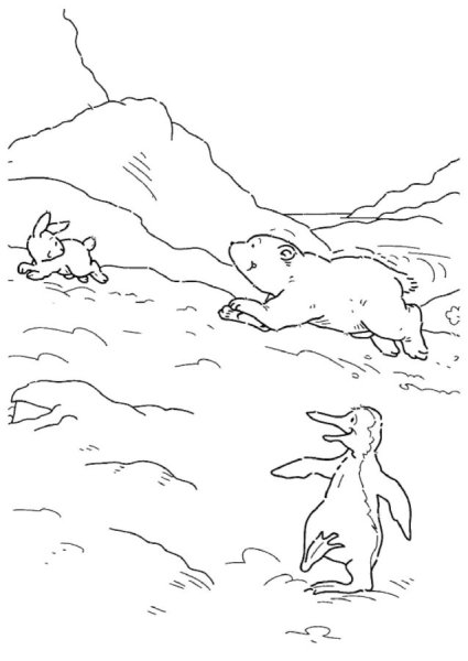 Арктика раскраска