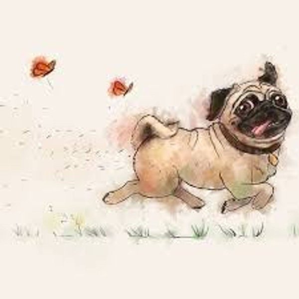 Мопсик рисунок