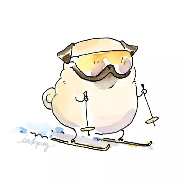 Мопсы рисунки смешные