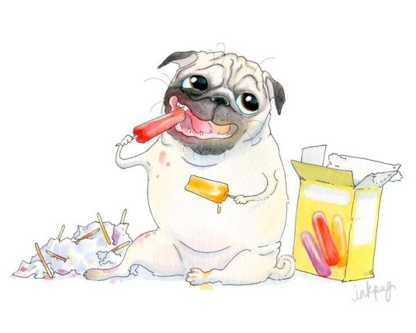 Мопс карикатура