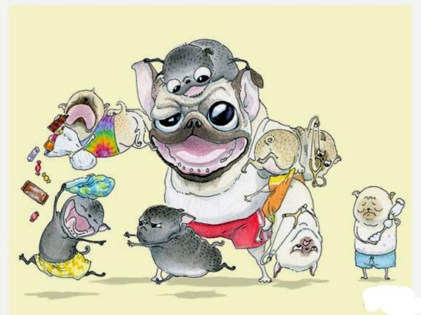 Inkpug весёлые мопсы