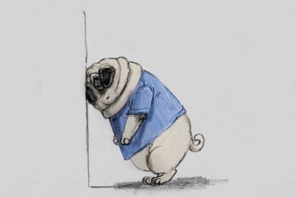 Мопсы рисунки смешные