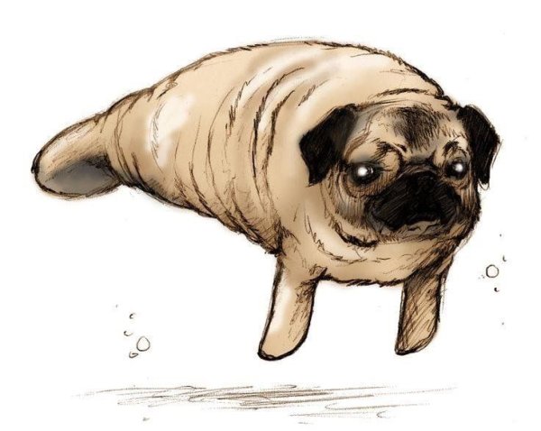 Мопс мультяшка