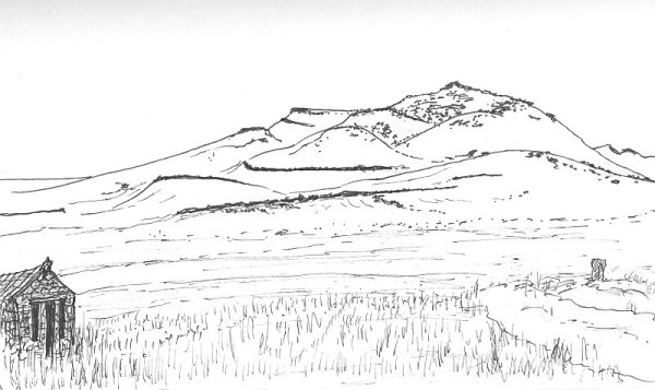 Раскраска Степной пейзаж