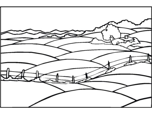 Раскраска поле