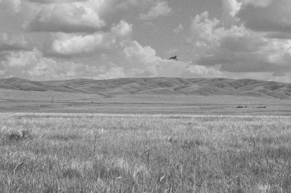 Белая степь