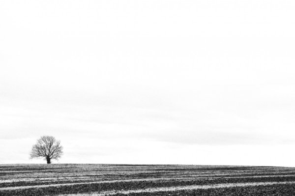 Пустой пейзаж