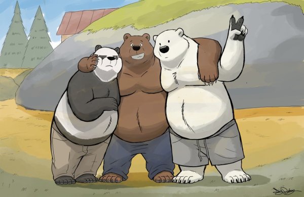 Смешные медведи мультяшные