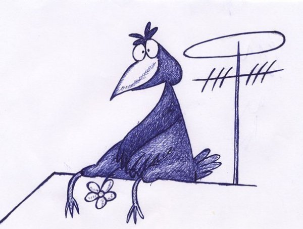 Птица счастья карикатура