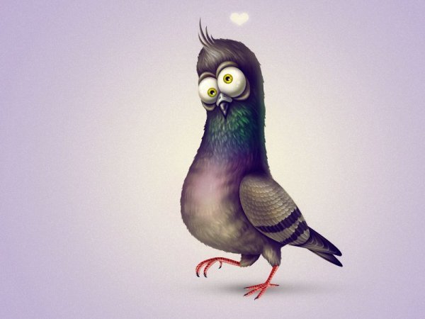 Сумасшедшие птички