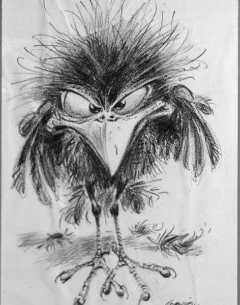 Смешная взъерошенная птица