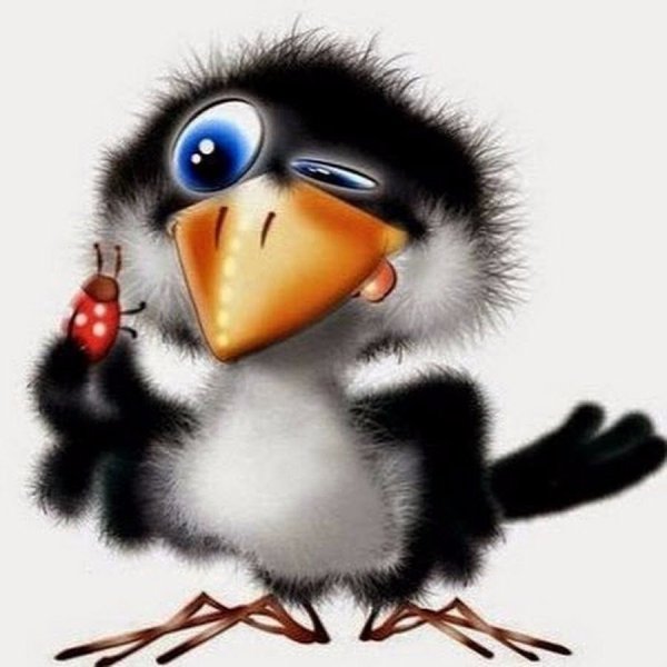 Смешная ворона рисунок