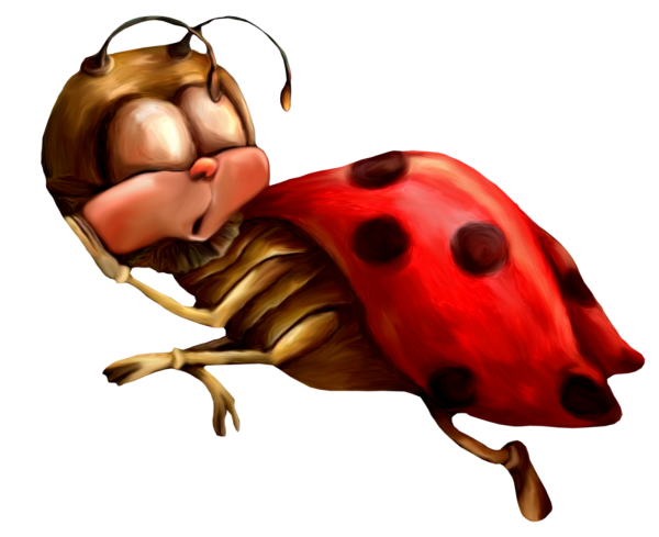 Божьи коровки