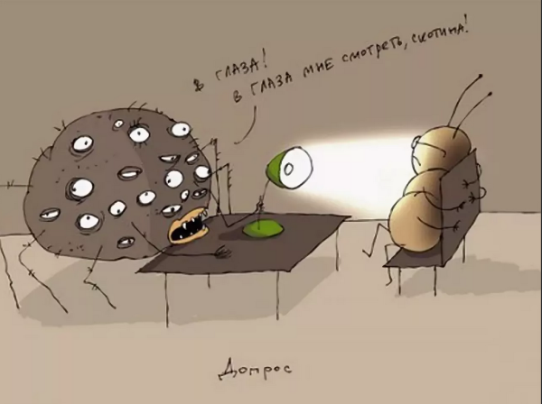 Шутки про насекомых