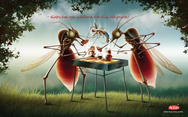 Приколы с насекомыми