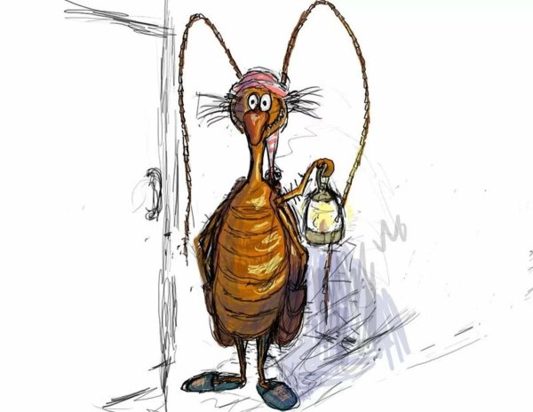 Смешные рисунки тараканов