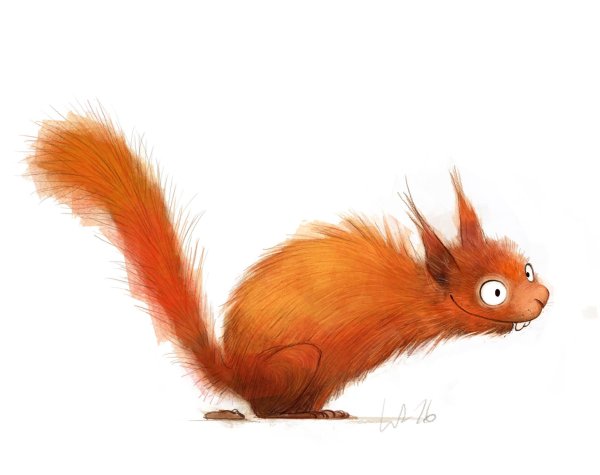 Веселая белка рисунок