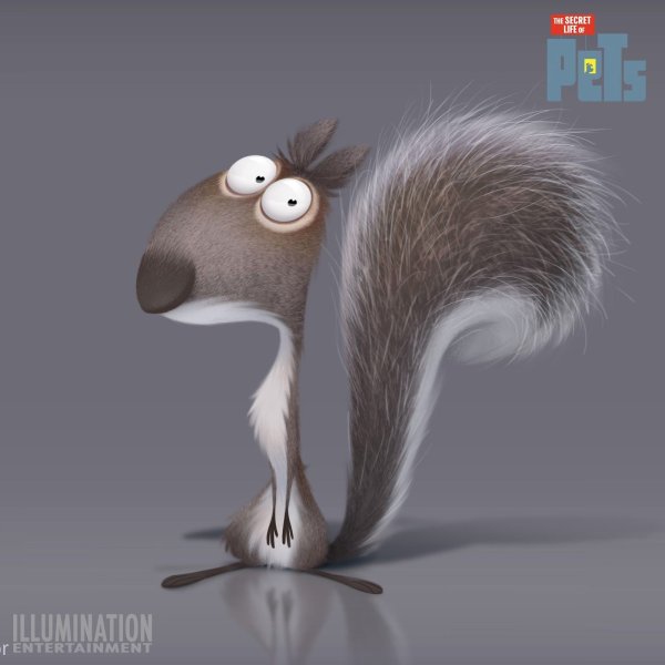 Белка карикатура