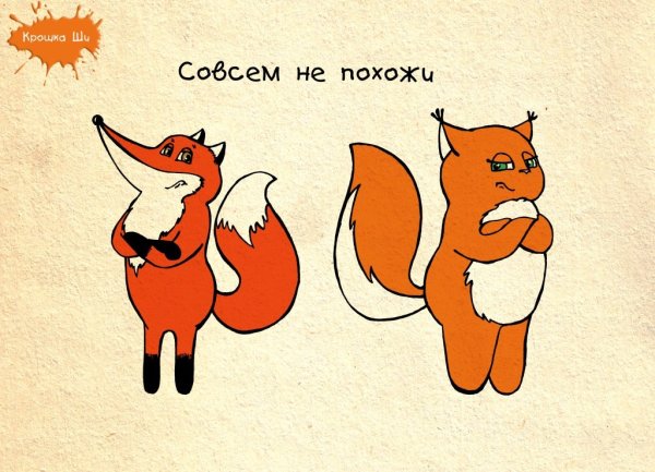 Крошка ши белка или лиса