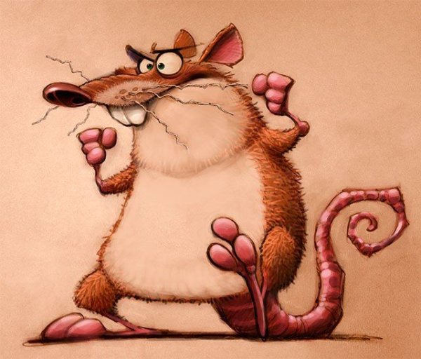 Крыса рисунок смешной