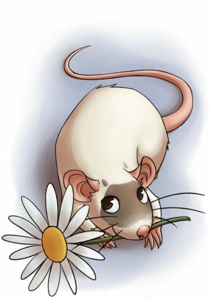Крыса рисунок