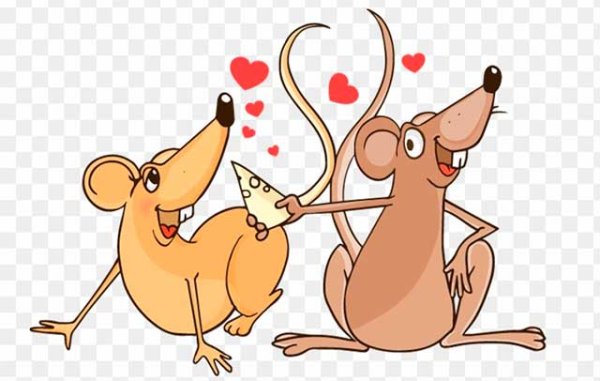 Рисунки крысы на новый год прикольные