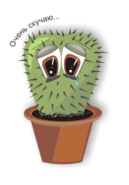 Злой Кактус
