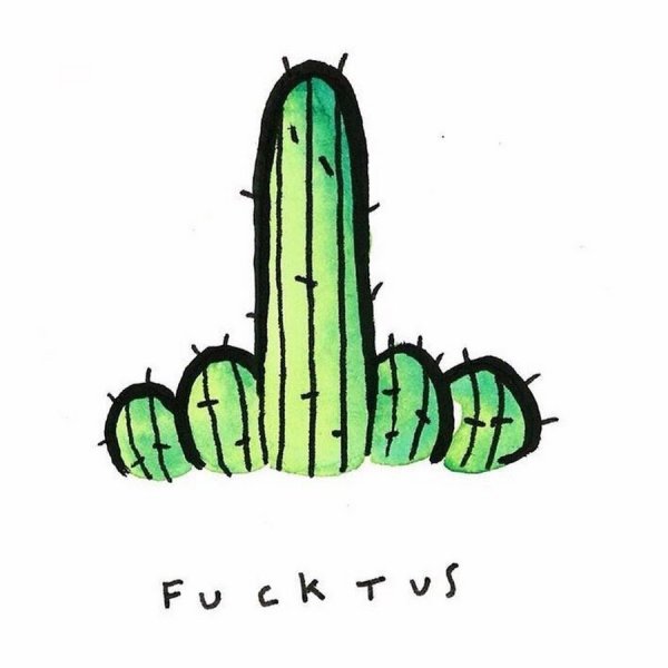 Кактус на аву